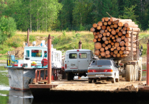 Россия может запретить поставки древесины своему основному покупателю товара — Китаю, заявил глава Минприроды РФ Дмитрий Кобылкин