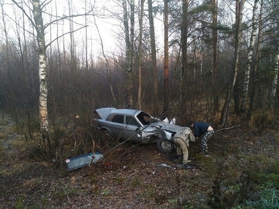 Машина врача в Тверской области вылетела с дороги и перевернулась