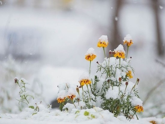 В Ульяновск грядет зима со снегом и первыми серьезными заморозками