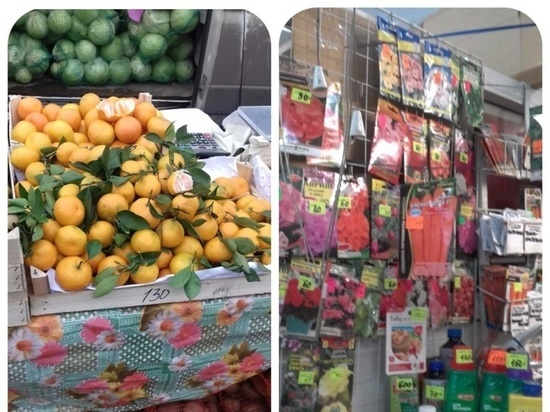 На рынках в Тверской области выявили "незаконные" семена