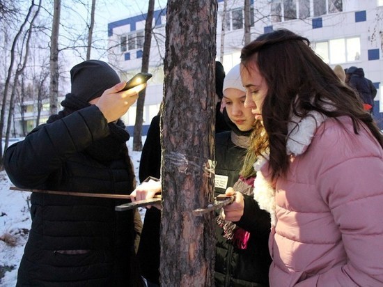 В Екатеринбурге детей зовут изучать уральский лес, дендрологию и животных