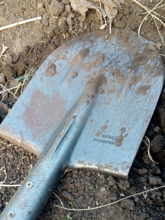 В Оренбурге мужчина избил дедушку лопатой