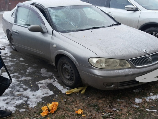 Неизвестные сбросили тыкву на автомобиль в Бийске