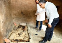 Египетские археологи и специалисты из других стран обнаружили в некрополе Саккара семь гробниц, относящихся к периоду Древнего царства и более поздних страниц истории Египта
