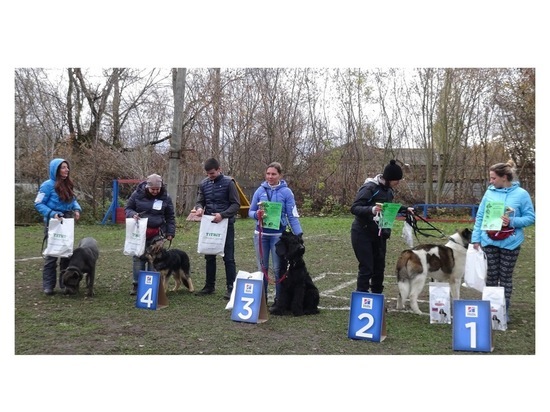 Серпуховские полицеские провели соревнования для любителей собак