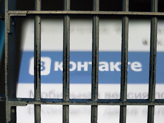 Тамбовчанина осудили на два года за экстремизм в социальных сетях