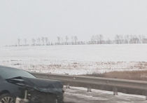 Днем во вторник в Новокузнецком районе, около поселка Степного произошло дорожное происшествие: Toyota Camry вылетела с дороги и ударилась о боковое ограждение