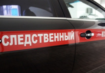 В Москве на Севастопольском проспекте BMW врезалась в бордюр