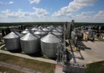 ПАО «Московский Индустриальный Банк» готово выступить основным инвестором строительства высокотехнологичного комплекса глубокой переработки зерна в Аннинском районе