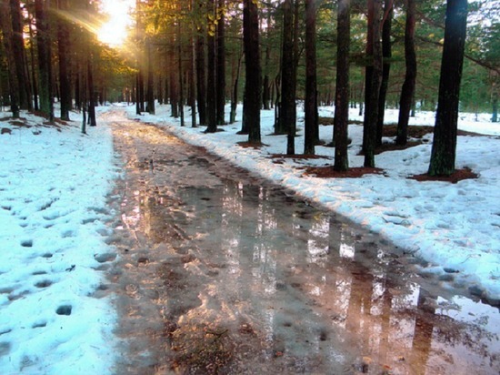Выпавший в Архангельске снег вряд ли задержится: погода снова перепрыгнула в плюс