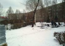 Антон Черемнов, заместитель главы Новокузнецка по ЖКХ,  пояснил, почему зеленые насаждения в сквере высаживались в промерзлую землю, покрытую снегом