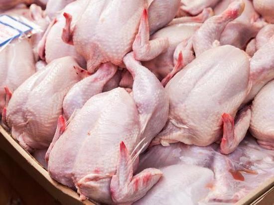 Мясо птицы из Тамбовской области будут поставлять в Арабские Эмираты