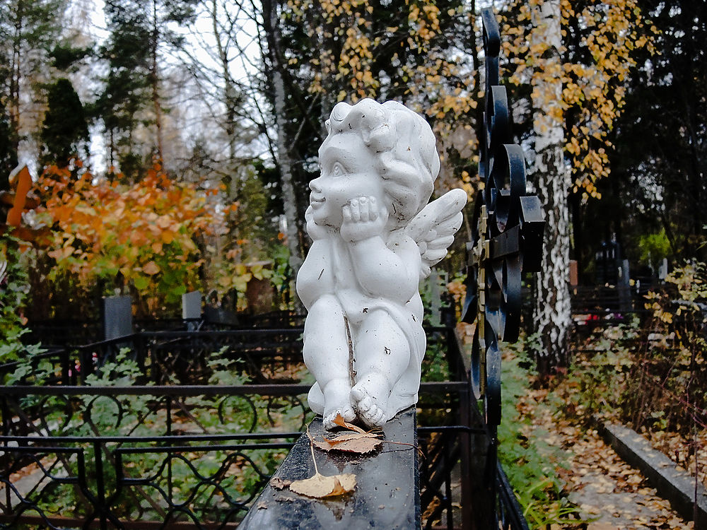 Что изменилось на Хованском кладбище после побоища проверили корреспонденты МК