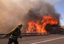 В американском штате Калифорния лесные пожары продолжают планомерно уничтожать все на своем пути