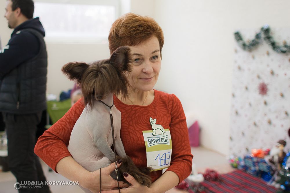 Ми-ми-мишная новость недели: выставка породистых собак прошла в Петрозаводске