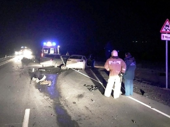 Водитель Калмыкии и еще два человека пострадали в ДТП из-за лошади