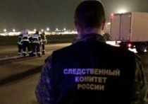 В Москве возбуждено уголовное дело по факту гибели в аэропорту "Шереметьево" 25-летнего мужчины