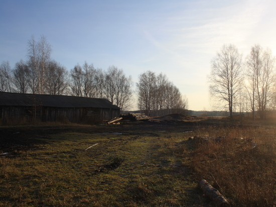 В Омской области древнее городище приспособили под переработку древесины