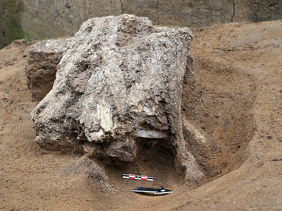 Найдены артефакты, оставленные людьми 20 тысяч лет назад