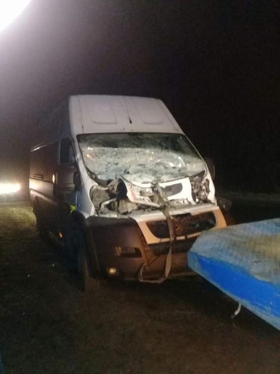 В Тверской области лось бросился под колёса фургона