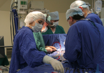 Московские врачи спасли жизнь пациенту с осложнением после трансплантации легких за границей
