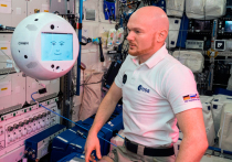 Первое тестирование космического робота-помощника CIMON (Crew Interactive Mobile CompanioN) — детища компании Airbus, созданного по заказу Германского центра авиации и космонавтики, завершилось успешно на прошлой неделе на МКС