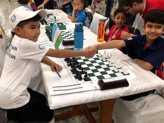 Призовые места ульяновских школьников в шахматных соревнованиях