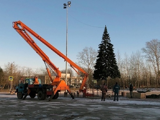 Первую новогоднюю елку установили в Кинешме