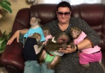 Это история спасения яванской макаки по кличке Катя, которую семья из Подмосковья выкупила из контактного зоопарка города Шахты, когда жизнь обезьянки висела на волоске