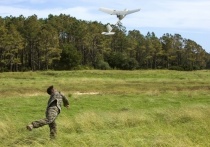 Американское оборонное агентство перспективных исследований (DARPA) провело успешный эксперимент по использованию роя беспилотных летательных аппаратов в воздушной операции