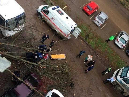 Дерево упало на пенсионерку в Краснодаре