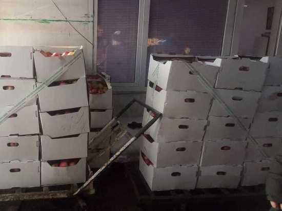 В Екатеринбурге уничтожили больше тонны яблок