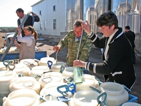 Волгоградская область планирует выйти на 100-процентную самообеспеченность молоком