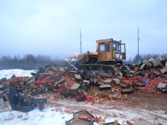 В Смоленской области уничтожили 39 тонн подозрительных фруктов