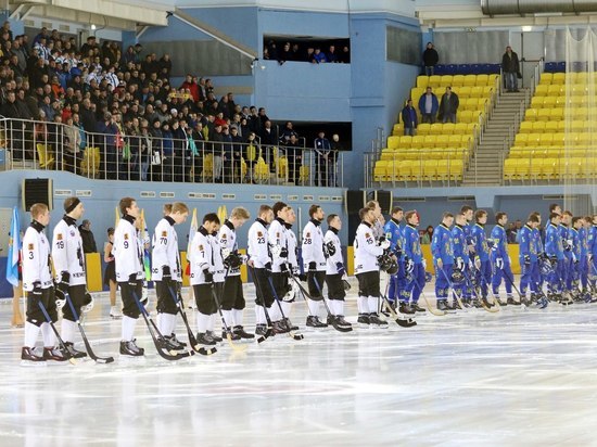 В Ульяновске хоккеисты просят зарплату у Путина