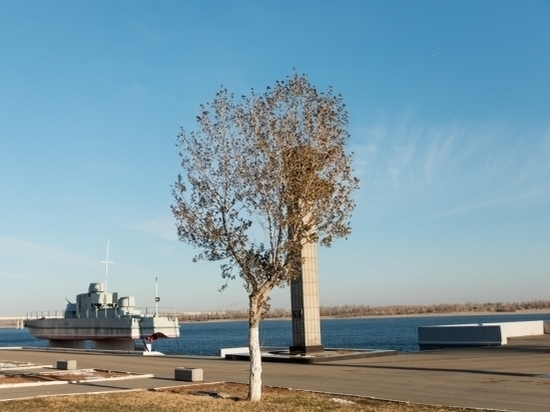 На нижней террасе Центральной набережной в Волгограде разобьют парк