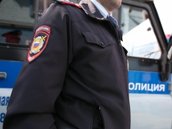 Жительницу Мордовии наказали за пощёчину полицейскому