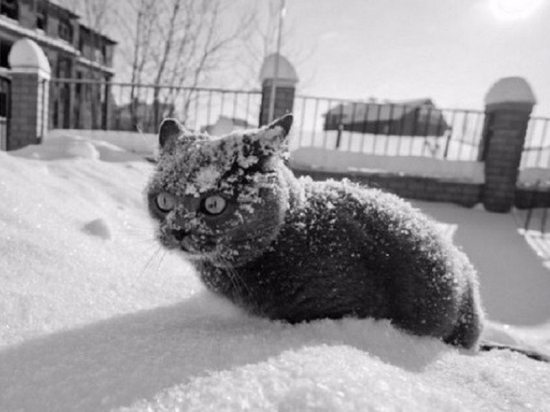 Зима в Омской области начнется с морозов до -33°