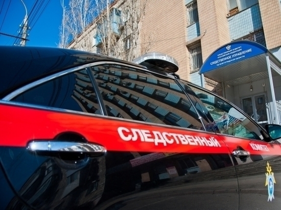 Волгоградца осудили за то, что он укрыл 50 млн рублей налогов