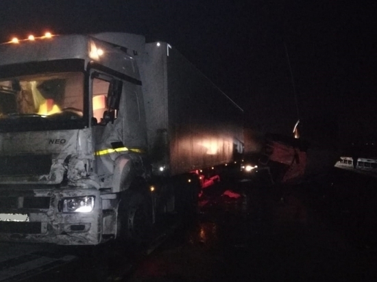 Попавшие в ДТП в Тульской области грузовики образовали километровый затор