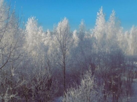 Сегодня в Смоленской области до минус восьми, снег