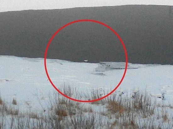 Белый лебедь приютился на набережной Кемерова