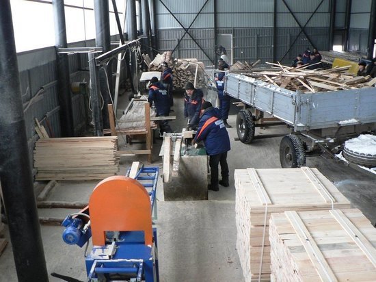 В Тамбовской области открыли новое деревоперерабатывающее предприятие