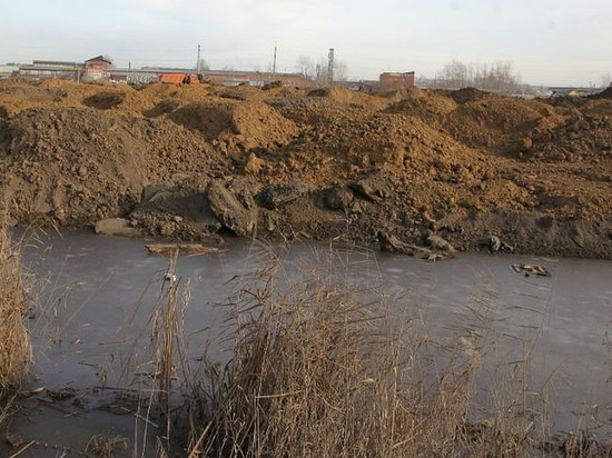 Строительство ТРЦ в «Птичьей гавани» не контролируется минимущества Иркутской области