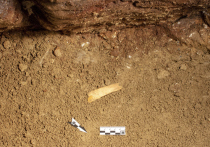 Археологи из  Института археологии и этнографии СО РАН обнаружили в Денисовской пещере диадему