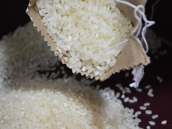Рис объявлен опасным для здоровья