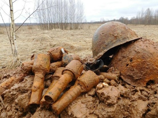 Ульяновские поисковики нашли останки 206 солдат Великой Отечественной войны