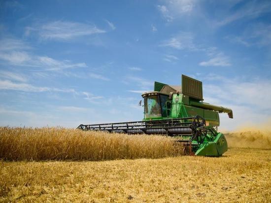«Мираторг» по итогам года увеличил урожай зерновых и бобовых культур