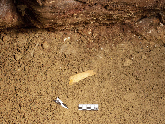 Диадему из бивня мамонта нашли в Денисовской пещере