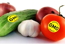 Крупнейший розничный продавец органических продуктов – компания Whole Foods – отменяет внутренние правила, согласно которым поставщики были обязаны маркировать генетически модифицированные (ГМО) продукты